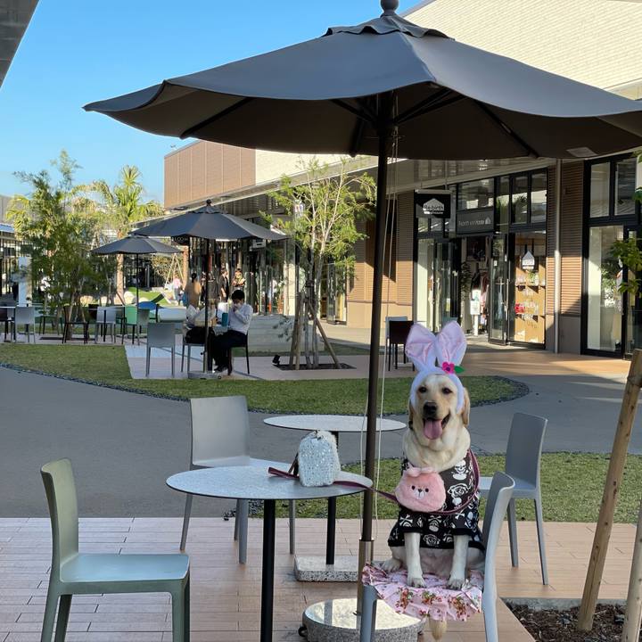 5d84e3e7 4f69 4e69 a363 d42481d4f86a 1665571146136