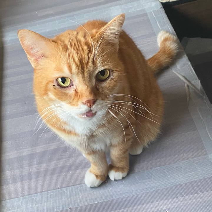 5d854077 220a 4602 ba46 c9744567e537 1614875675507