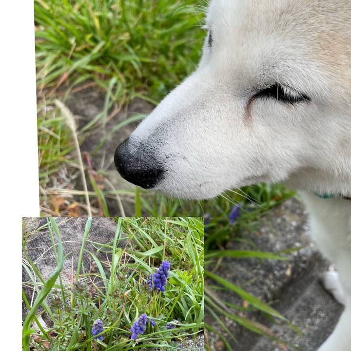 5d8540b9 e6d4 476d 9139 78a238fcdd54 1647828007374