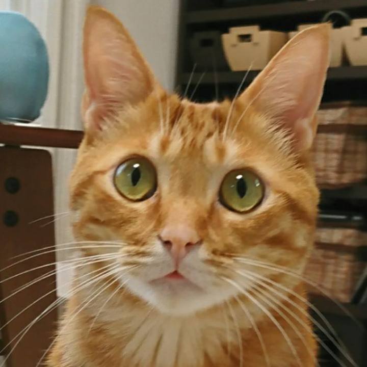 5d855935 baaf 4aac 8f8c 91375f933c22 1528538319691