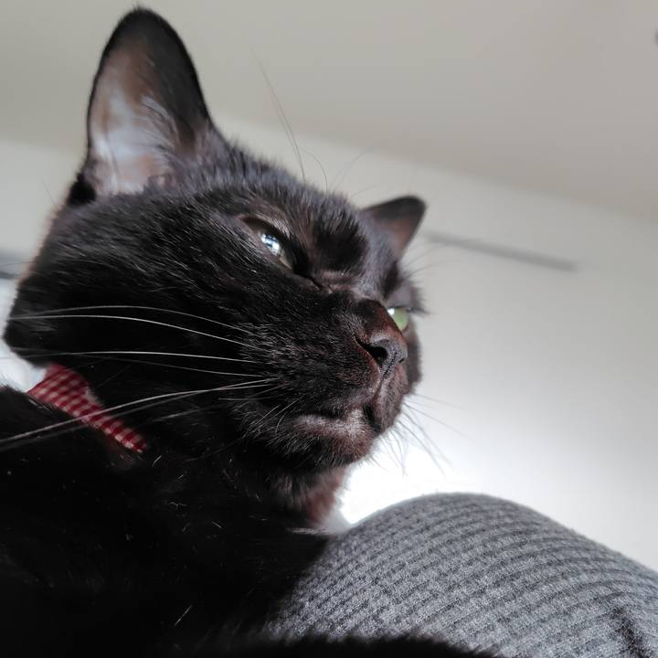 5d85599a b005 41fa bb43 f82bb9106ebd 1735340074638