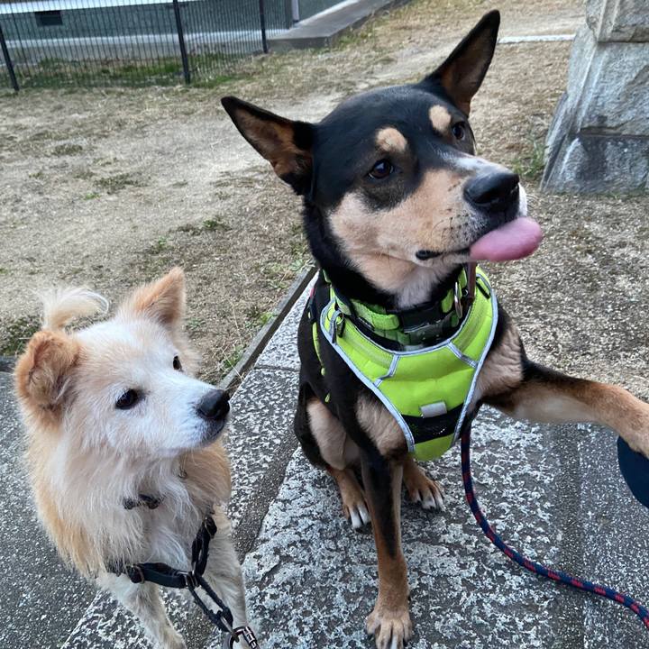 5d859b0a d2c0 4397 a3c0 1ea07977085a 1646830809707