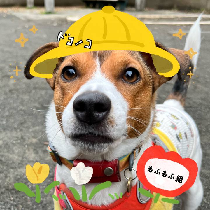 5d85b153 599e 42ed 975a 2e691f1ec5d3 1712479999081