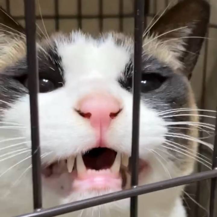 5d85b4d2 5e13 4b53 be00 31aaabf97285 1743846824586