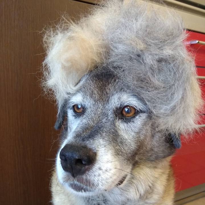 5d85b589 fd87 46cb 856d 78b1d64a0053 1675988917276