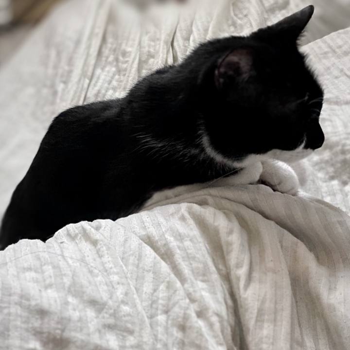 5d85b8df d557 415a 89dc 0562f0c4e482 1599449225583