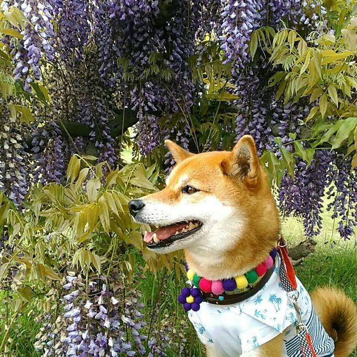 5d85f5a0 d4ea 48b8 9f04 62a896bcb5e2 1557117522391