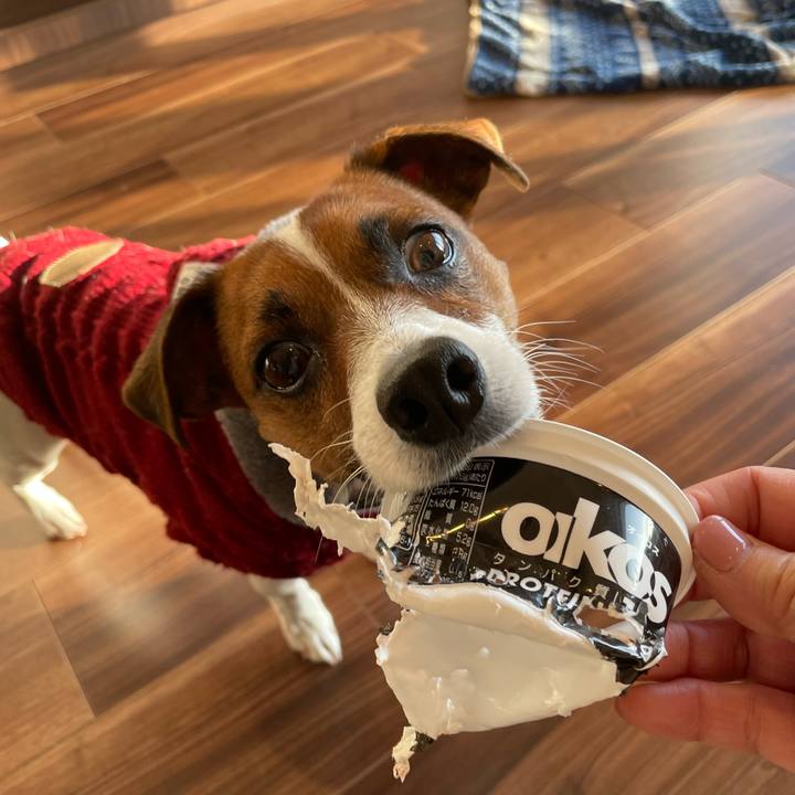 5d860055 c273 4321 9f97 709ef6bbfe2f 1642551100483