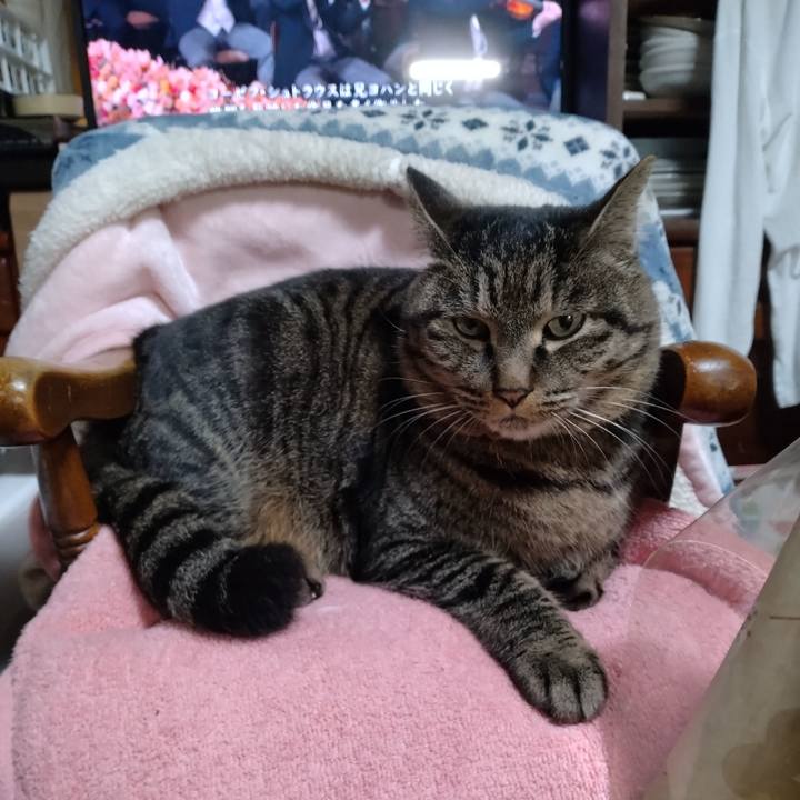 5d8609fa 967b 4076 9df7 5d0d137a8fa7 1673091497623