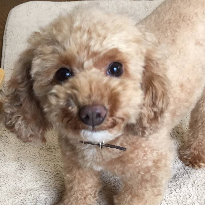 5d86254b 33da 4f38 8afb 8a0c7a060573 1520597124904