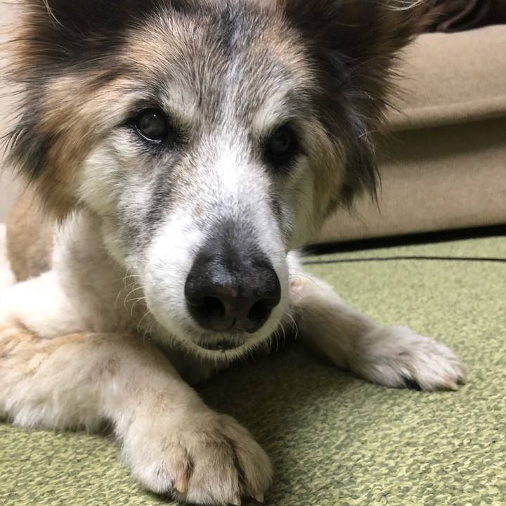 5d86a474 573e 41c6 b50b 66d4d0ff06b0 1524617999835