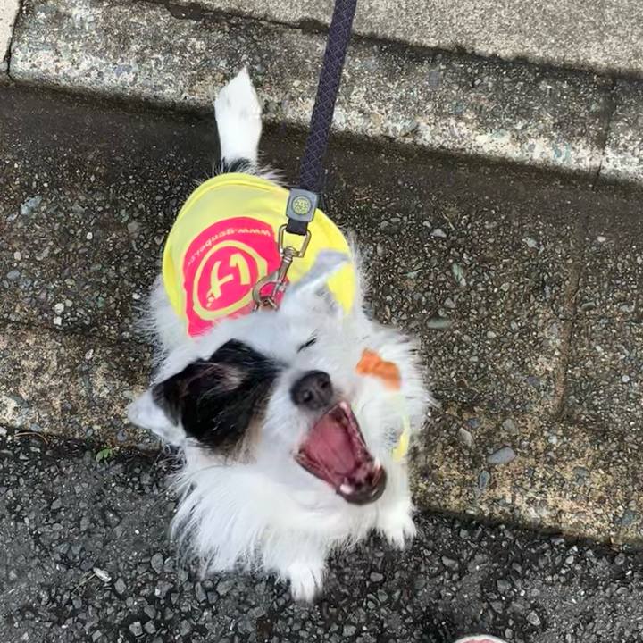 5d86d76b fc54 4648 a823 bf67eaf93317 1686097091480