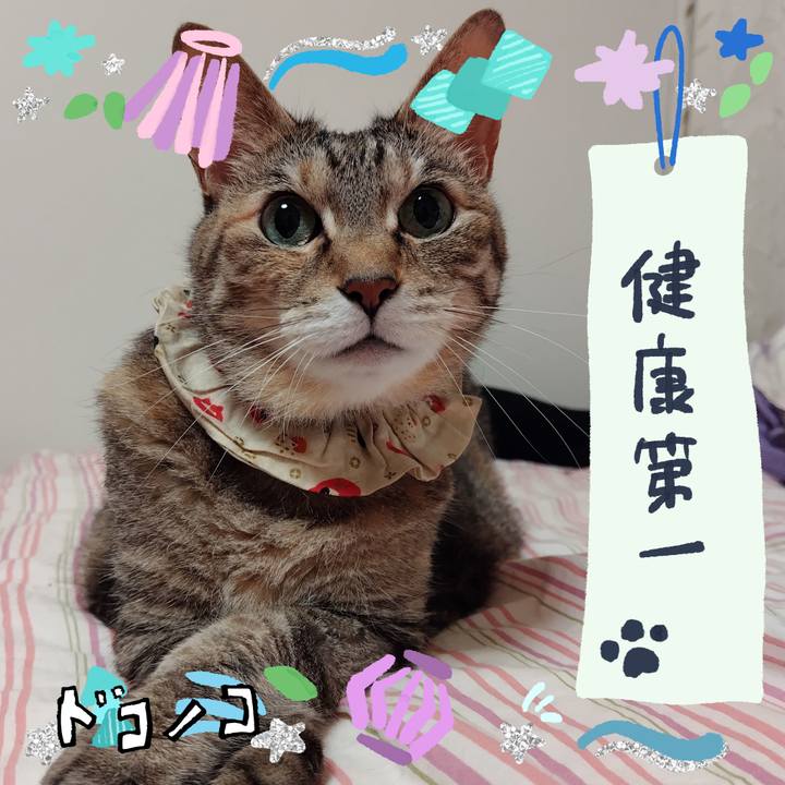 5d86eabf 4a19 4683 9184 39859ecc841c 1721231250393