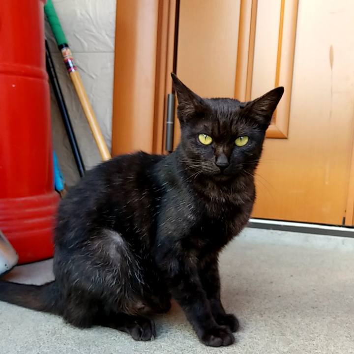 5d86fbfc 5dcd 44e0 a37b fa9d84901548 1568681863306