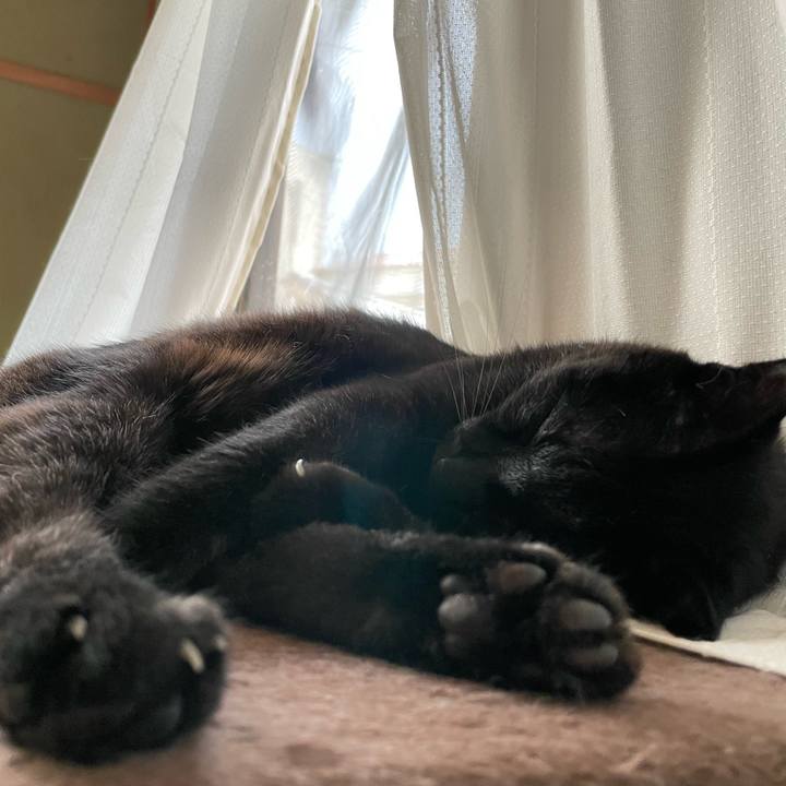 5d871bfd d7a2 423c b21d 194c1680878c 1659235352891