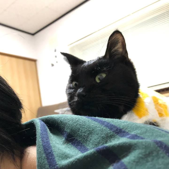 5d8734c2 62f1 443d b585 4b5d3d3b657a 1556193288954