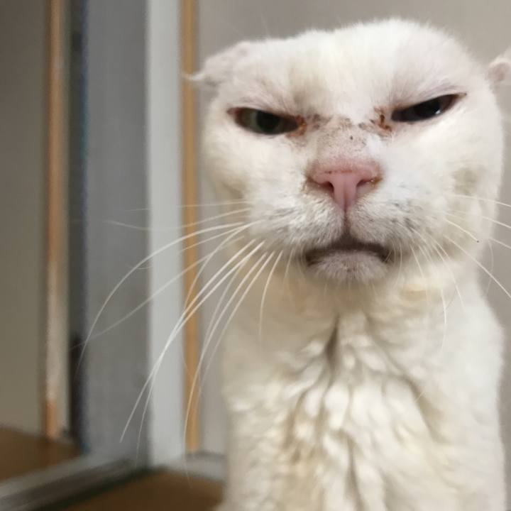 5d8779d2 0abe 43a1 9481 71405768aea8 1535145653630