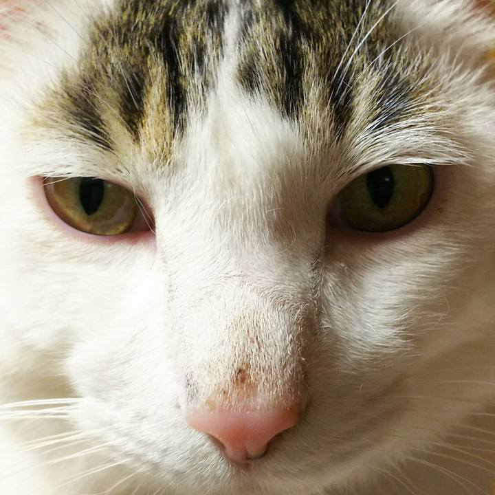 5d8789fe 12bf 4364 86b2 114390694552 1513610146646