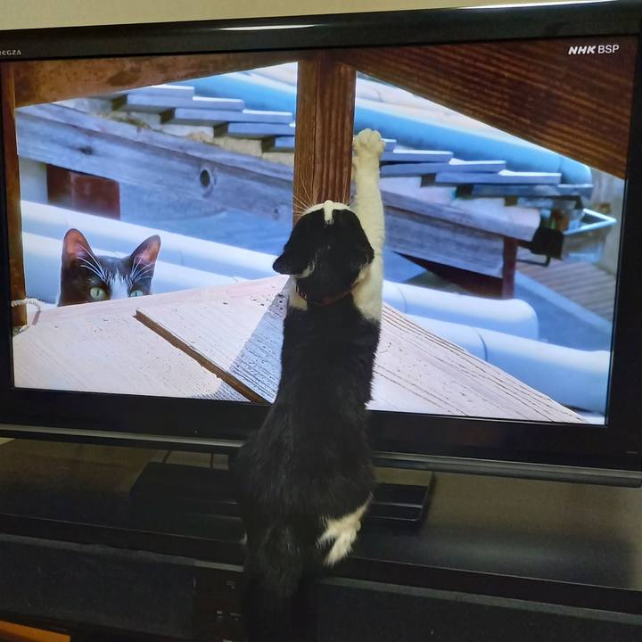 5d87a5ab fc63 4571 8b18 34b017f27c9b 1628339182046