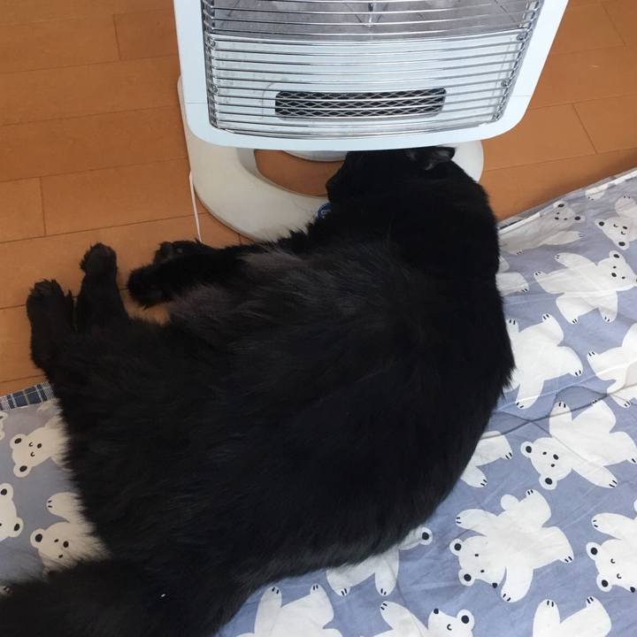 5d87b68f bd5f 44ff 9c24 8e7f82e39c21 1516869966085