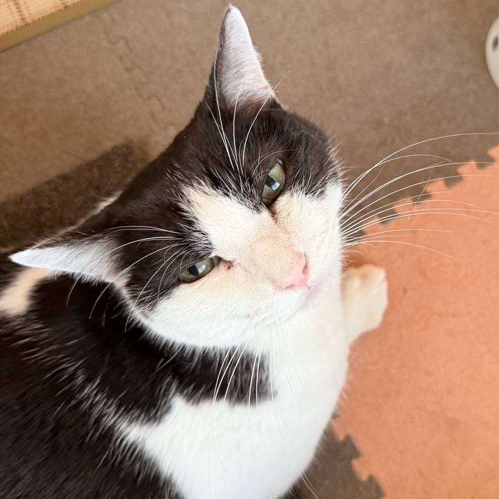 5d87bf0d d8c5 4250 a053 9df5adc49fa2 1773194001523