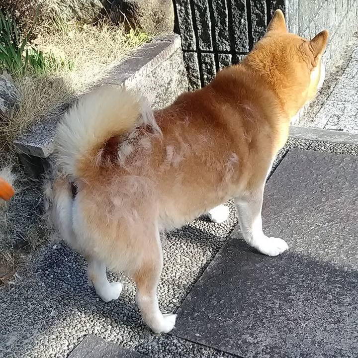 5d87f59d 56ab 45e6 bfb8 53edae57e5ec 1708853466511