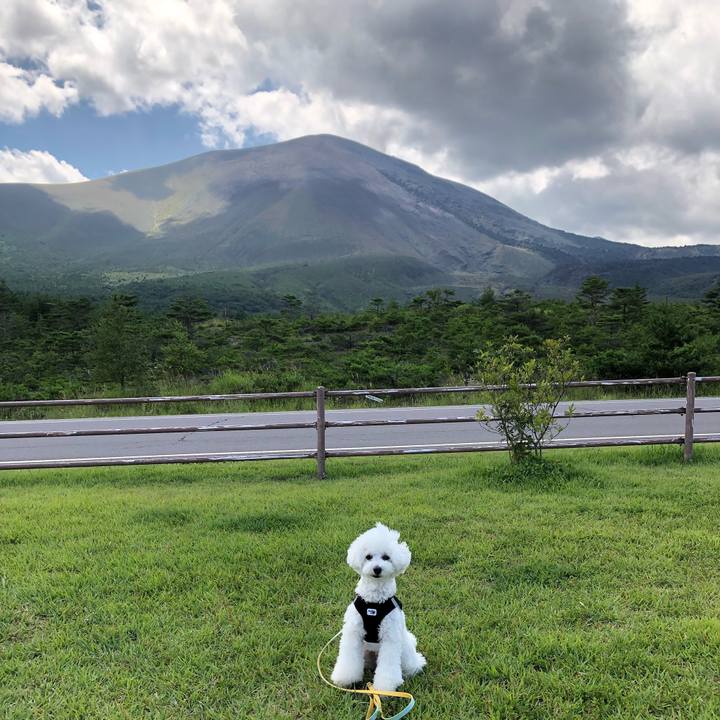 5d87ff6c 2607 4704 b01a c64369bb485d 1566779115855