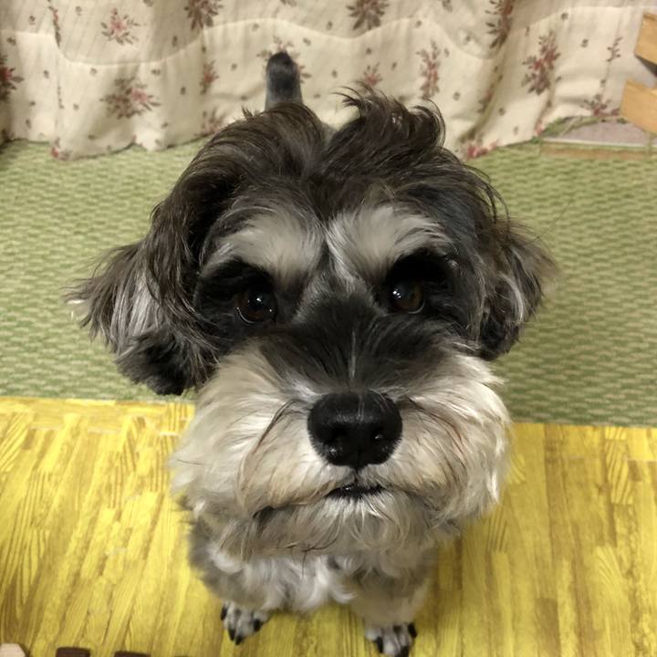 5d88239f 950d 4495 b8c7 4fe63eea4679 1538565001728