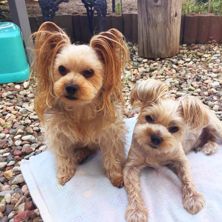 5d884579 85bf 4ab8 a338 e9cc9310771a 1532654791908