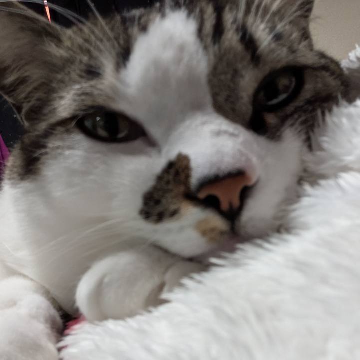 5d885abd acfa 4f6d 9e4b 75ccccbed6c5 1737949150558