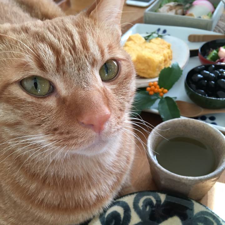 5d886f26 64f1 47d3 955d 33d0c1eec0b0 1514769470521