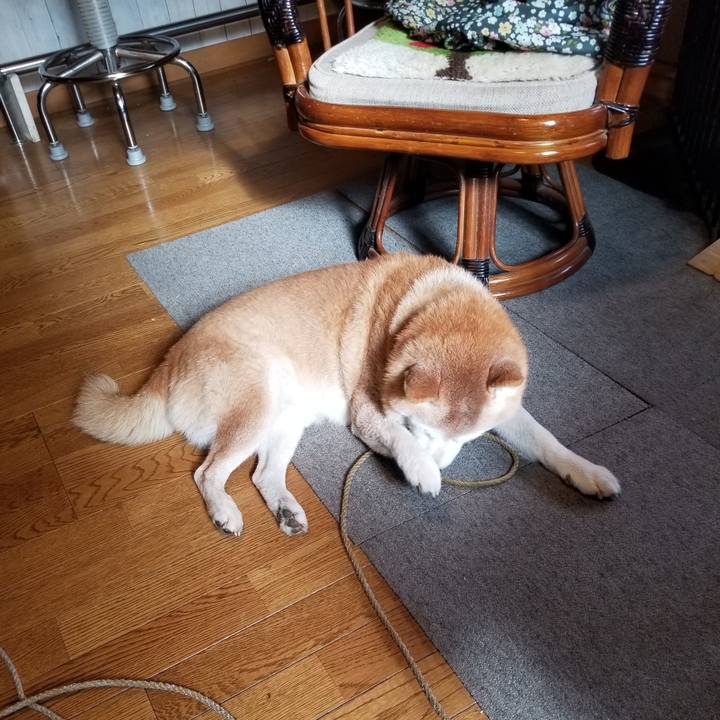 5d88c021 556d 43ec a868 526fe5a312c0 1732765185311