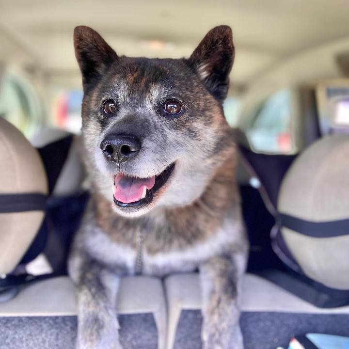 5d890e3e b115 4bd2 8a0a e6dca7765013 1649480359249