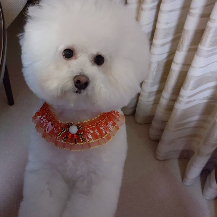 5d898a44 4ce7 4384 927a 8678bece6b66 1577191006720