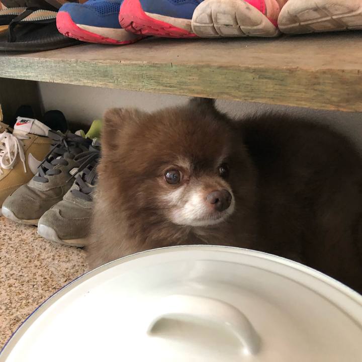 5d899a11 0b35 42ff 852c fa2b38b65221 1630364392374