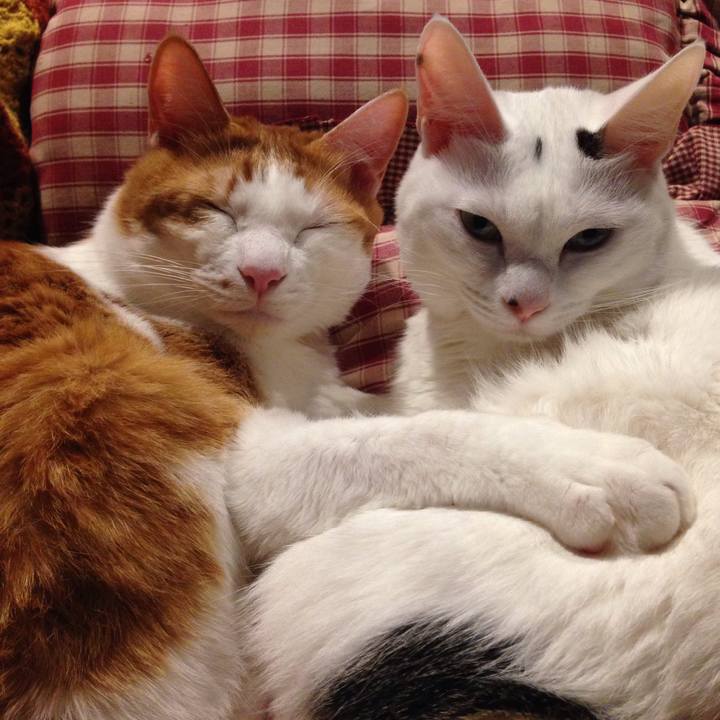 5d89a210 ffee 456b bb58 380f96332ed8 1511081611558