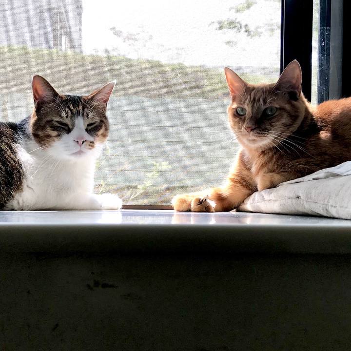 5d8a0216 dc3a 4a83 b631 c2f85b757205 1555642980273