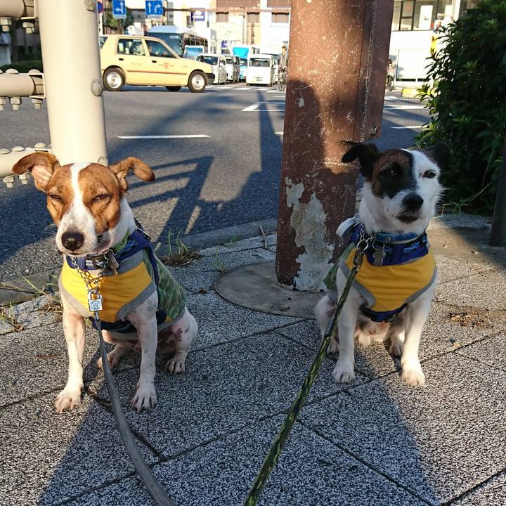 5d8a0a41 ea74 4e96 baf2 b2d92b2fcae3 1567804807587