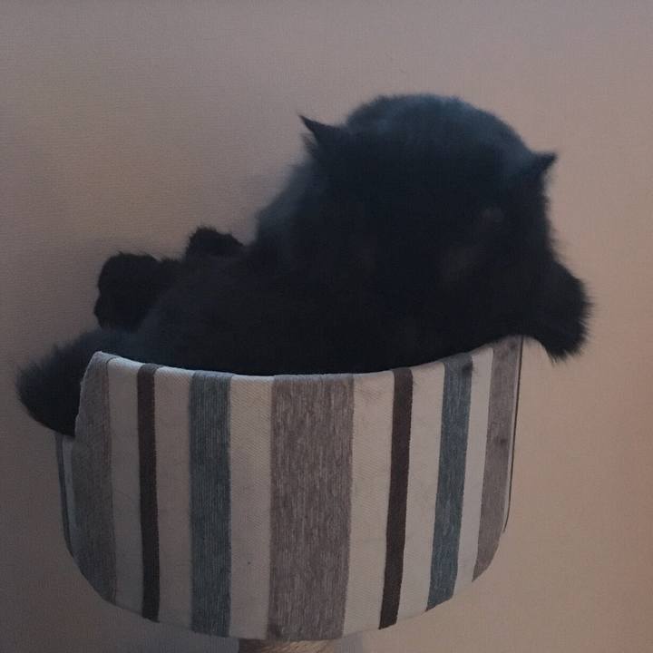 5d8a5d0f 1751 4b1e bbea a02620243be1 1515224181670