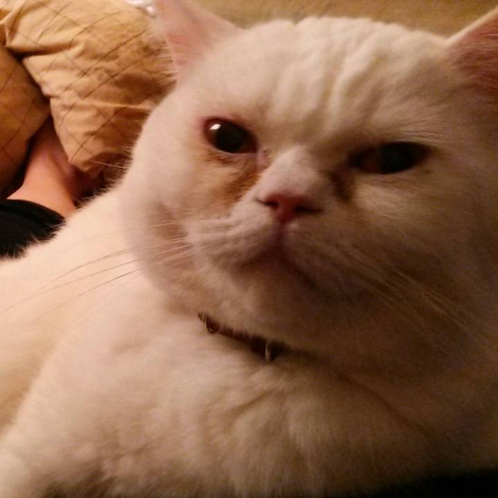 5d8a6bee dc53 4983 882c cc1d31183b51 1520809728550