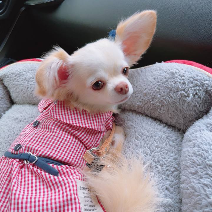 5d8a9a2e f322 4621 a51e 2c5335bfbbcc 1688807178699