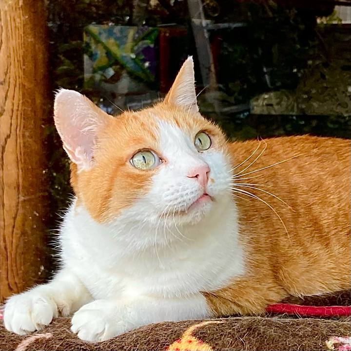 5d8acd83 7cb0 475f 890d ddcf6bd6e787 1647473852438