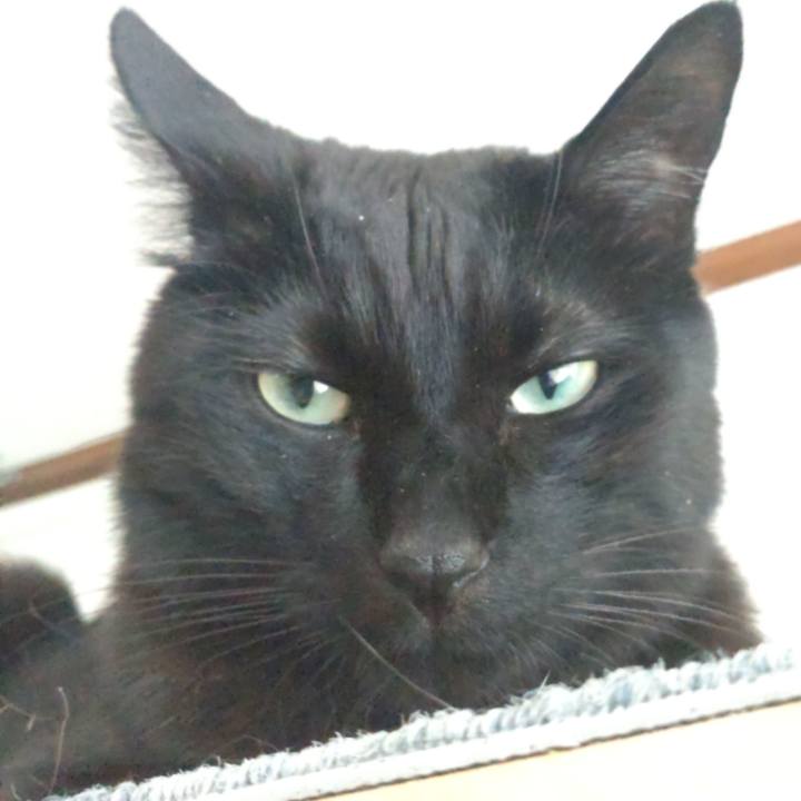 5d8ad614 eb79 41ae bd24 480502a9d956 1704592521415