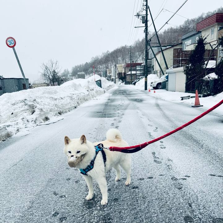 5d8b1057 c13a 4b73 984a af32a7929e41 1772920968689