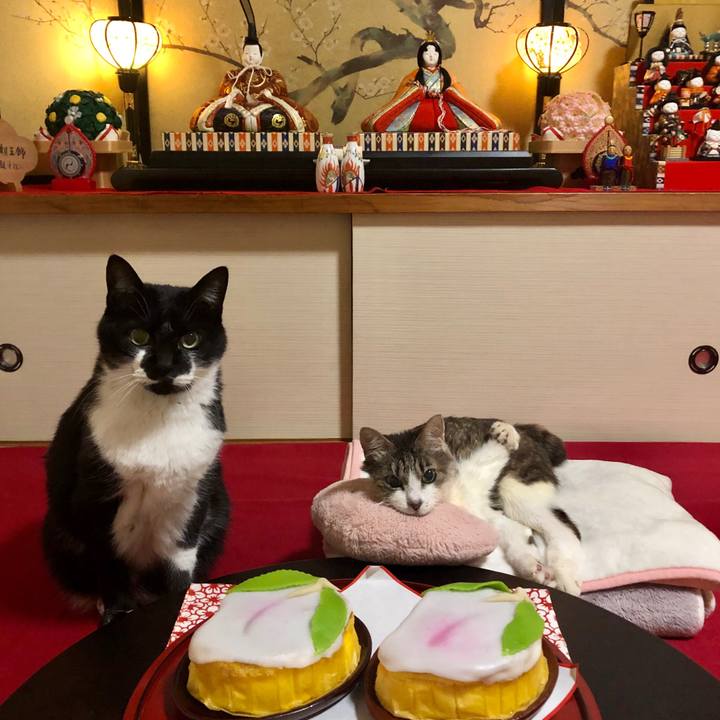 5d8b779e 643f 48d0 8dc5 4f4bf1d806ca 1583186529202