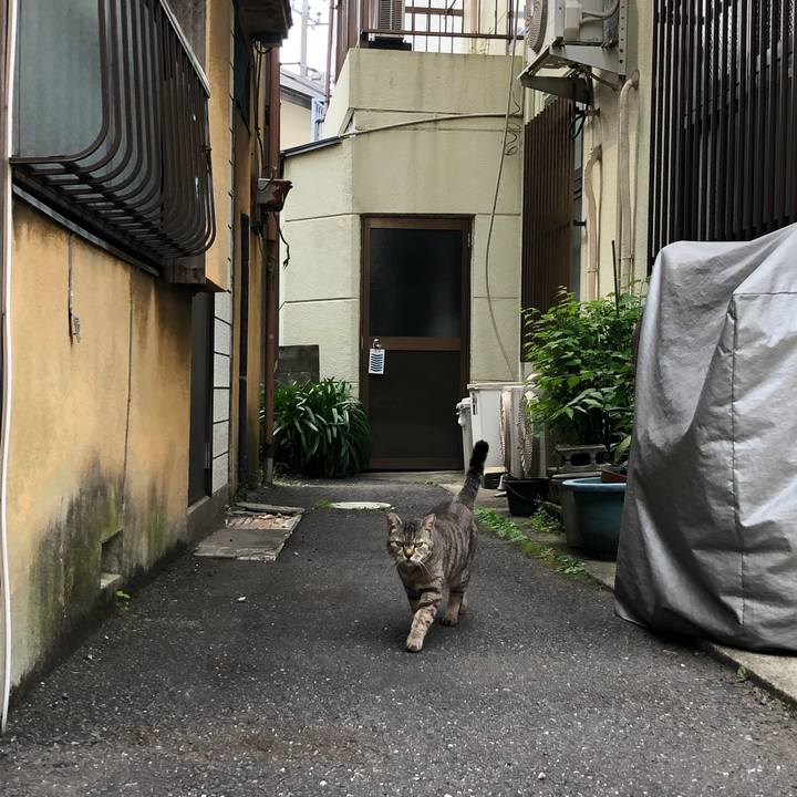 5d8b8115 5ab5 4346 aee9 f2bcaae88f21 1656517971404