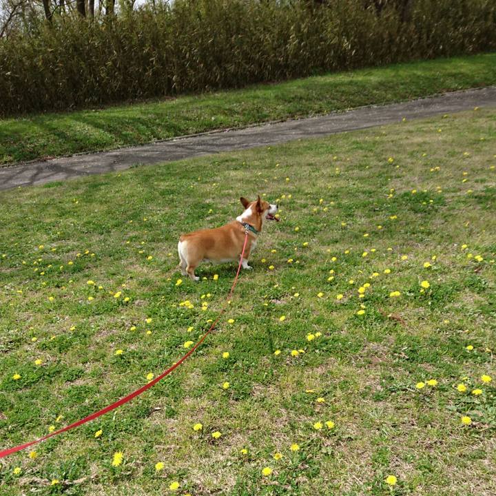 5d8bbbdd e1b2 45e8 8952 2227b4ee7671 1618104160640