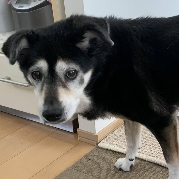 5d8bc855 3b33 42fc b19c aa030a6e0906 1773096035126