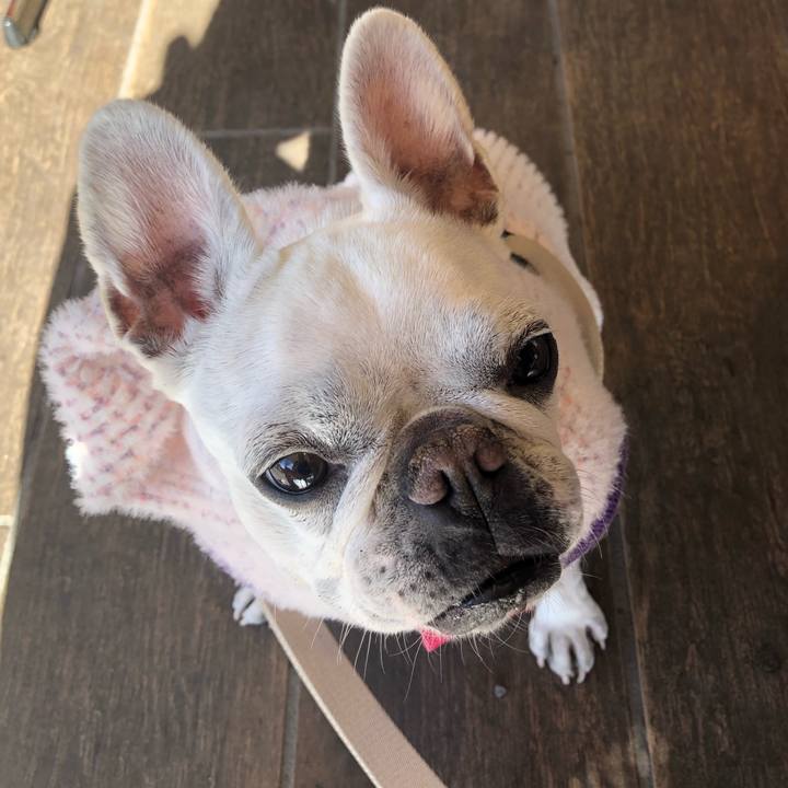 5d8bda7c c023 4d0b bdf1 6337a9d48017 1674271646736