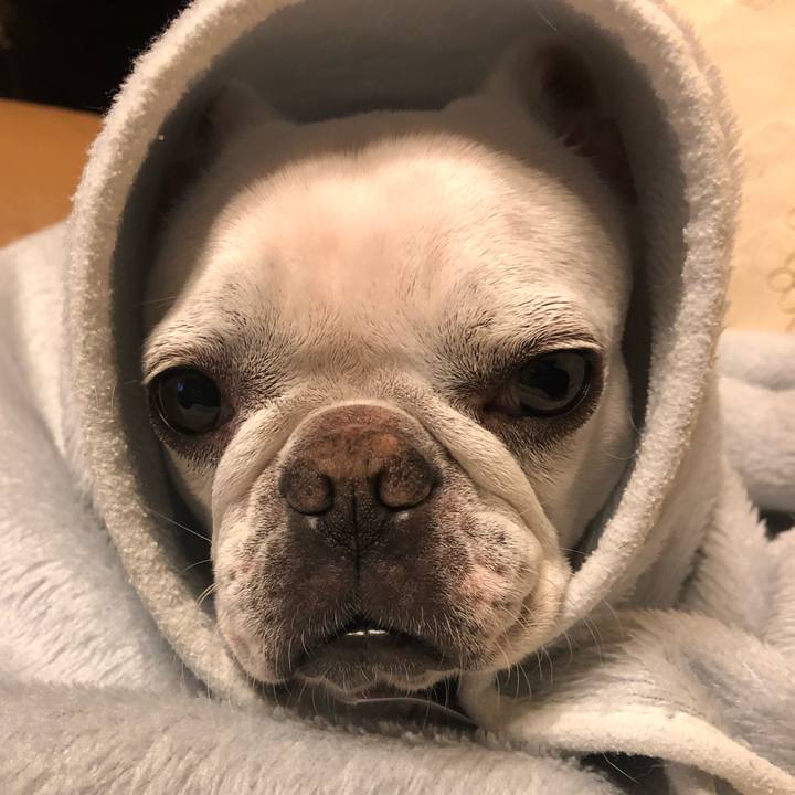 5d8bef0f 35b8 455d 96bc 4704953ccdf9 1635078366957